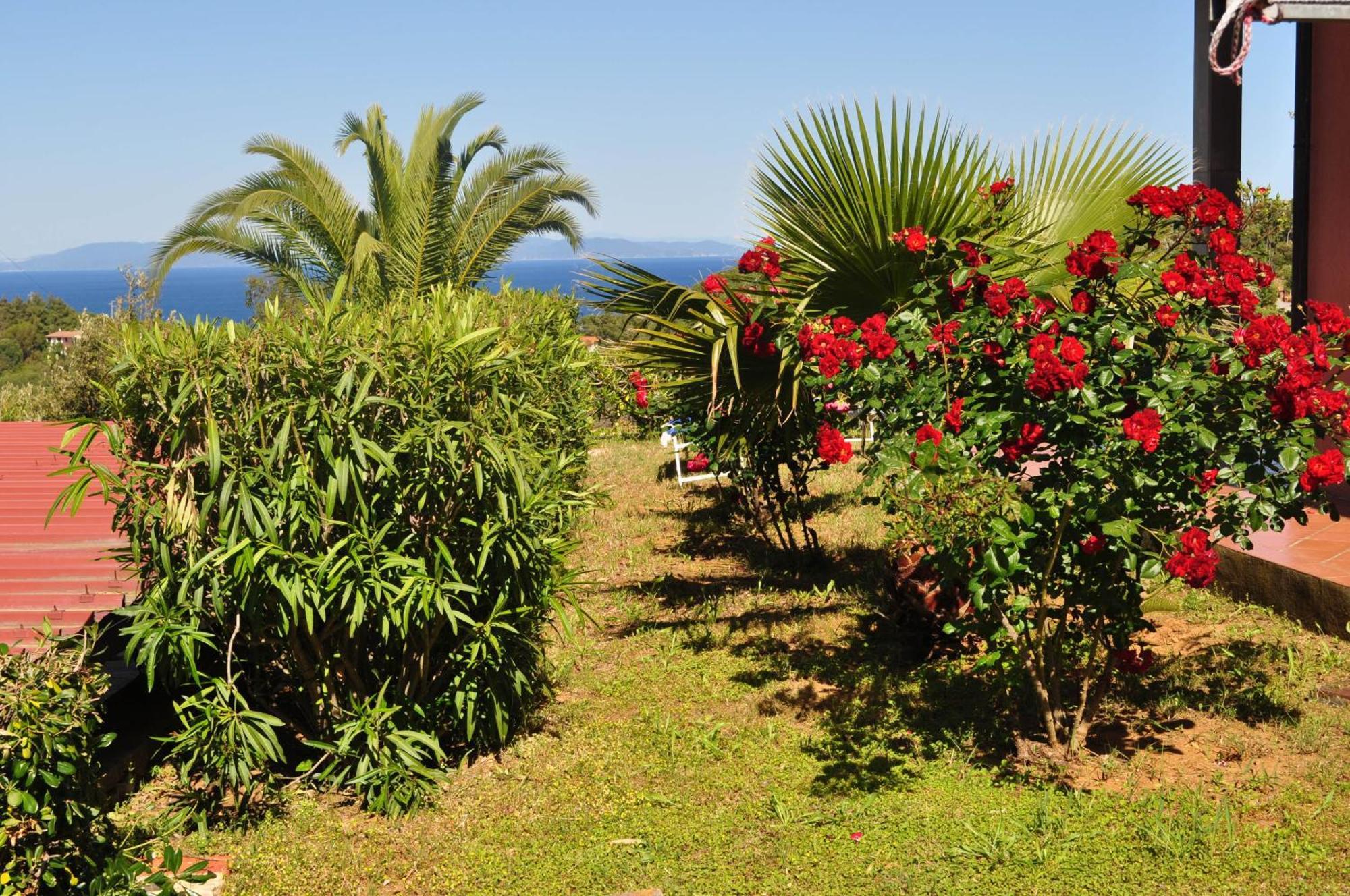 Residence Belvedere Capoliveri (Isola d'Elba) Exterior foto